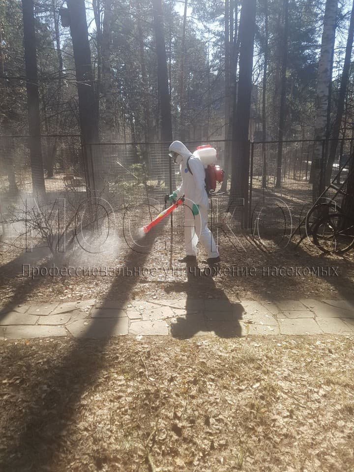 Уничтожение клещей на участке в Михнево
