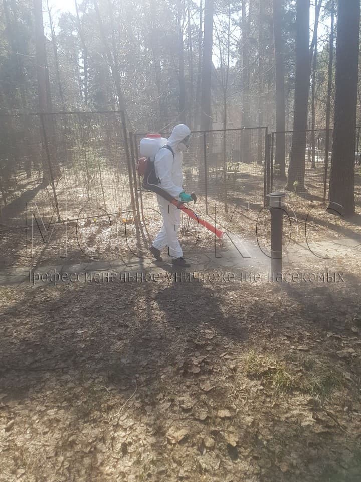 Уничтожение клещей на участке в Михнево